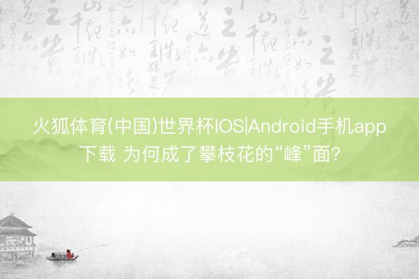 火狐体育(中国)世界杯IOS|Android手机app下载 为何成了攀枝花的“峰”面？