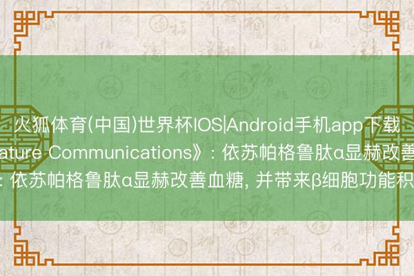 火狐体育(中国)世界杯IOS|Android手机app下载 SUPER 2发表于《Nature Communications》: 依苏帕格鲁肽α显赫改善血糖， 并带来β细胞功能积极反应