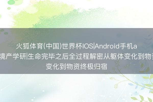 火狐体育(中国)世界杯IOS|Android手机app下载 筑境产学研|生命完毕之后全过程解密从躯体变化到物资终极归宿
