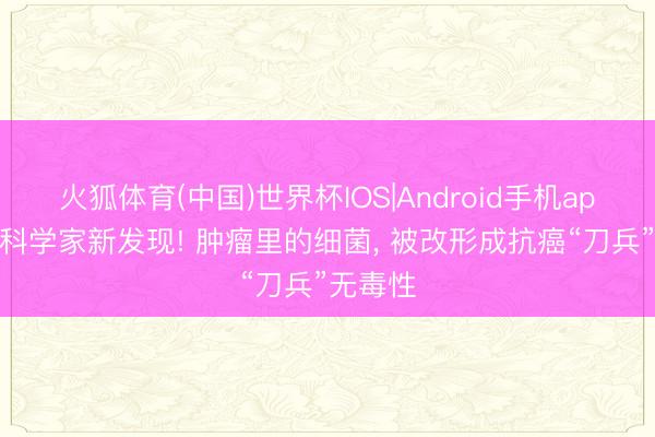火狐体育(中国)世界杯IOS|Android手机app下载 科学家新发现! 肿瘤里的细菌， 被改形成抗癌“刀兵”无毒性