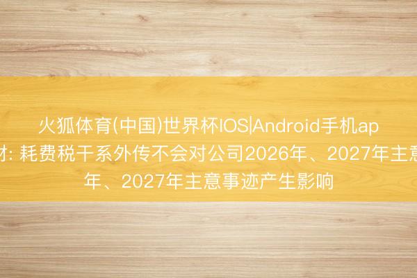 火狐体育(中国)世界杯IOS|Android手机app下载 中伟新材: 耗费税干系外传不会对公司2026年、2027年主意事迹产生影响
