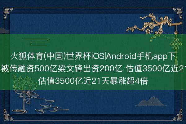 火狐体育(中国)世界杯IOS|Android手机app下载 DeepSeek被传融资500亿梁文锋出资200亿 估值3500亿近21天暴涨超4倍