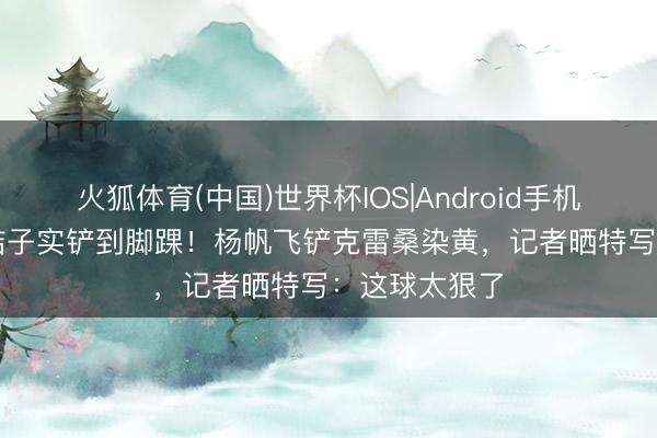 火狐体育(中国)世界杯IOS|Android手机app下载 结结子实铲到脚踝！杨帆飞铲克雷桑染黄，记者晒特写：这球太狠了