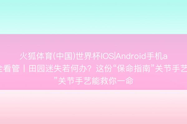 火狐体育(中国)世界杯IOS|Android手机app下载 安全看管丨田园迷失若何办？这份“保命指南”关节手艺能救你一命