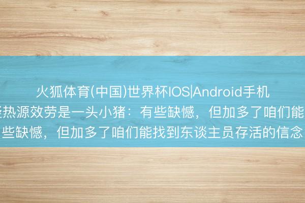 火狐体育(中国)世界杯IOS|Android手机app下载 拯救队发现可疑热源效劳是一头小猪:有些缺憾,但加多了咱们能找到东谈主员存活的信念