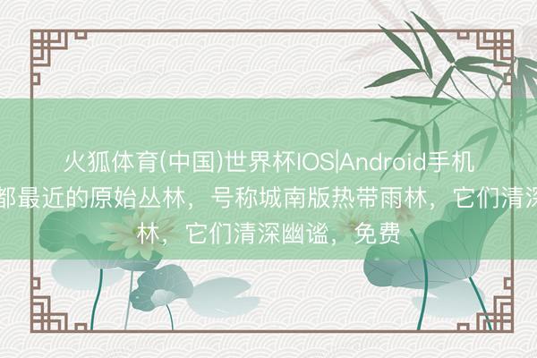 火狐体育(中国)世界杯IOS|Android手机app下载 成都最近的原始丛林，号称城南版热带雨林，它们清深幽谧，免费