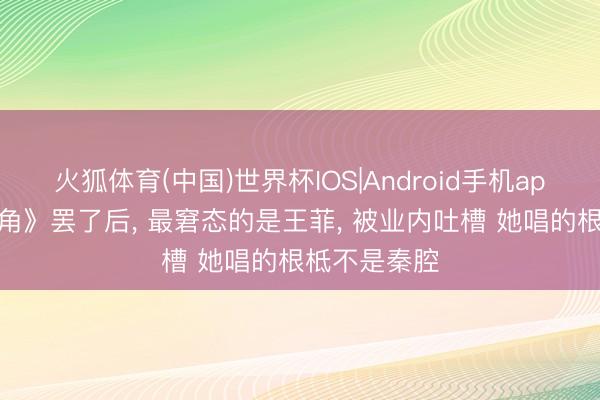 火狐体育(中国)世界杯IOS|Android手机app下载 《主角》罢了后， 最窘态的是王菲， 被业内吐槽 她唱的根柢不是秦腔