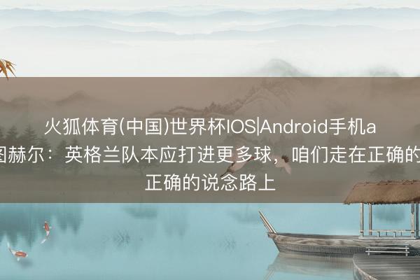 火狐体育(中国)世界杯IOS|Android手机app下载 图赫尔：英格兰队本应打进更多球，咱们走在正确的说念路上