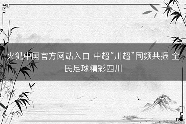 火狐中国官方网站入口 中超“川超”同频共振 全民足球精彩四川